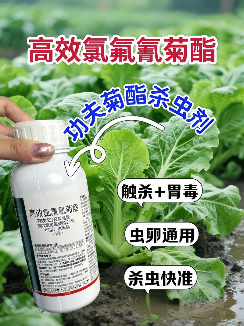 保山代生中心:农药对供卵代生妈妈的危害